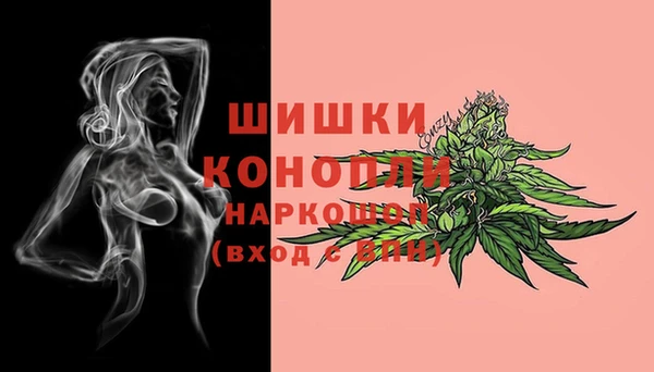 гидра Новокубанск