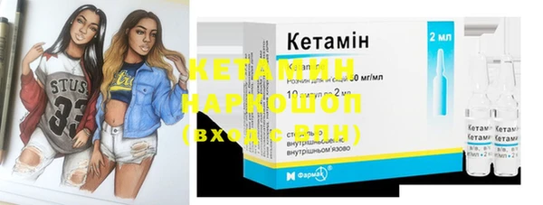 ПСИЛОЦИБИНОВЫЕ ГРИБЫ Няндома