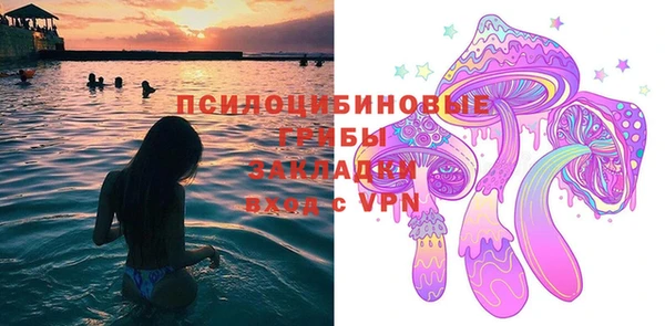 ПСИЛОЦИБИНОВЫЕ ГРИБЫ Няндома