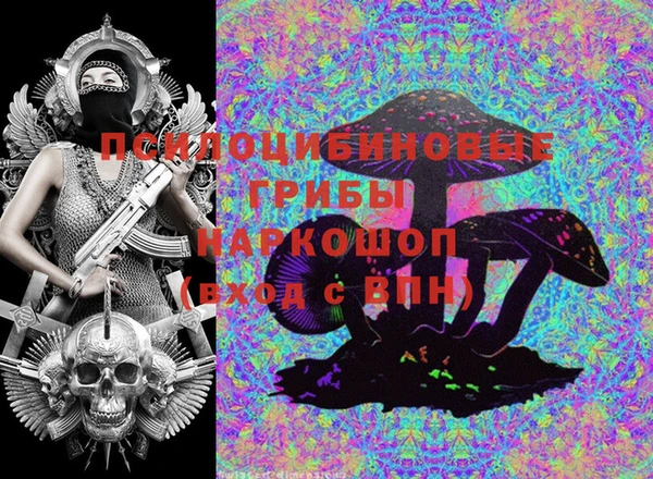 первитин Новозыбков