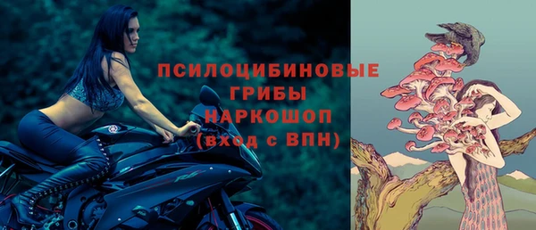 ПСИЛОЦИБИНОВЫЕ ГРИБЫ Няндома