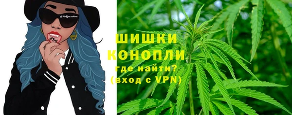 дживик Нягань